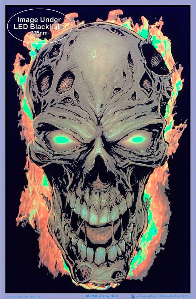 Amazon.com: Scorpio Posters Flaming Skull Blacklight Poster
