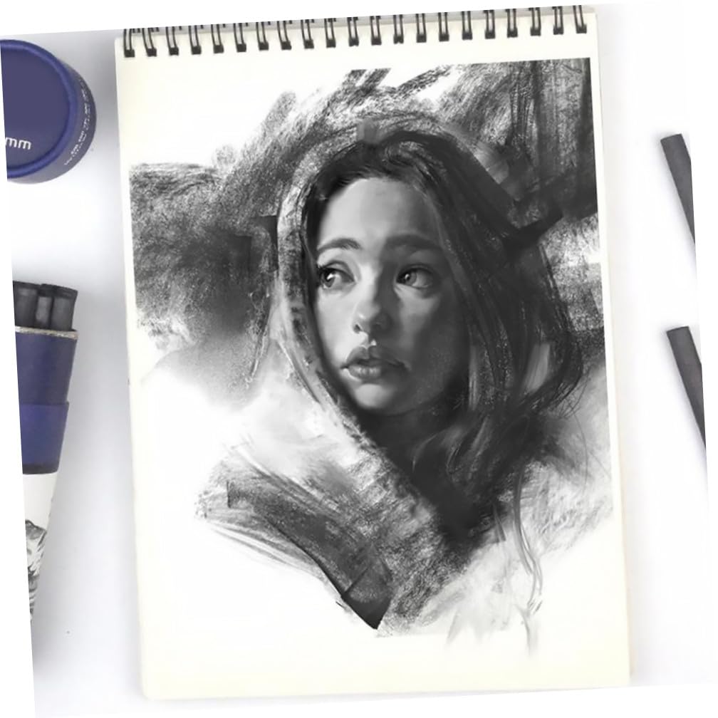 SEWACC 75piezas Lápices De Carboncillo Para Dibujo y Esbozo Herramientas De Pintura Para Artistas y Estudiantes Carboncillo De Sauce Para Creaciones Artísticas