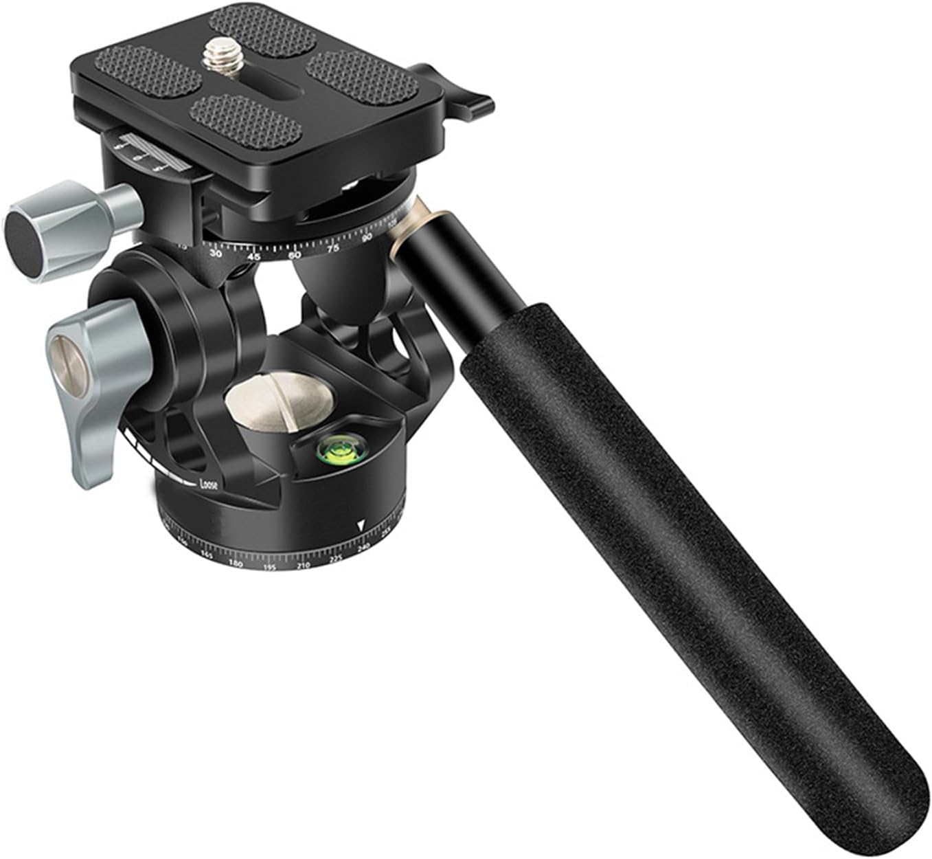 ラスト一枚【美品】Moat レジェンド イタリア語 希少 限定品 EDH EDH