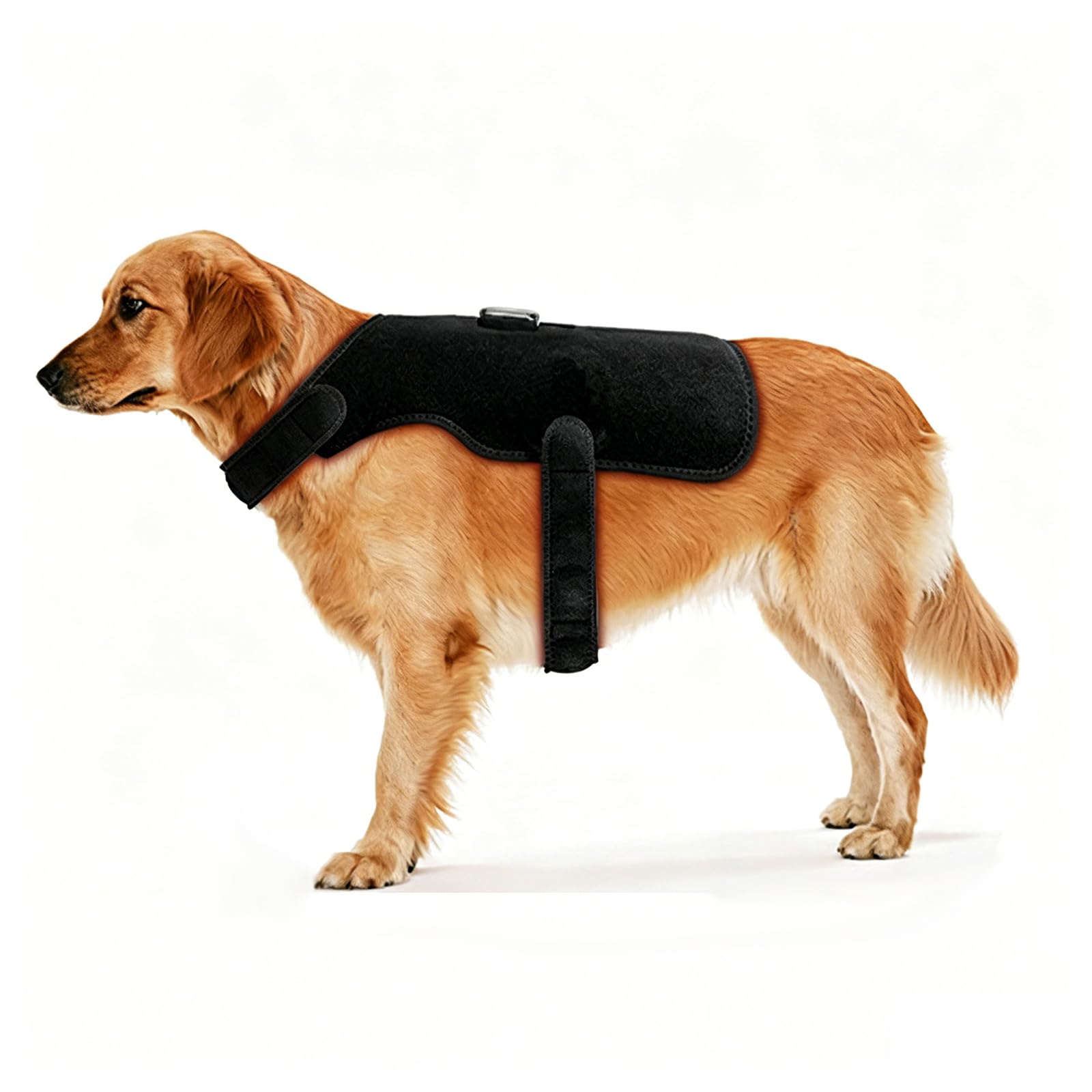 Cinturón De Terapia De Luz Roja para Mascotas, Dispositivo De Sanación por Infrarrojos De 660 NM Y 850 NM para Todos Los Perros Y Gatos, Control Mediante Panel Táctil, Seguro Y No Invasivo