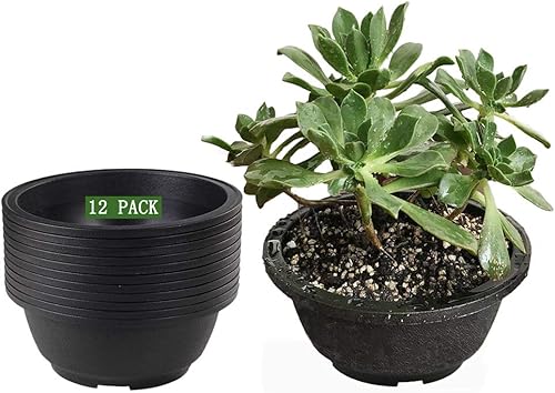 MUZHI Paquete de 12 macetas redondas para suculentas, color negro mate, con drenaje, macetas planas de plástico para plantas de jardín de 6.3