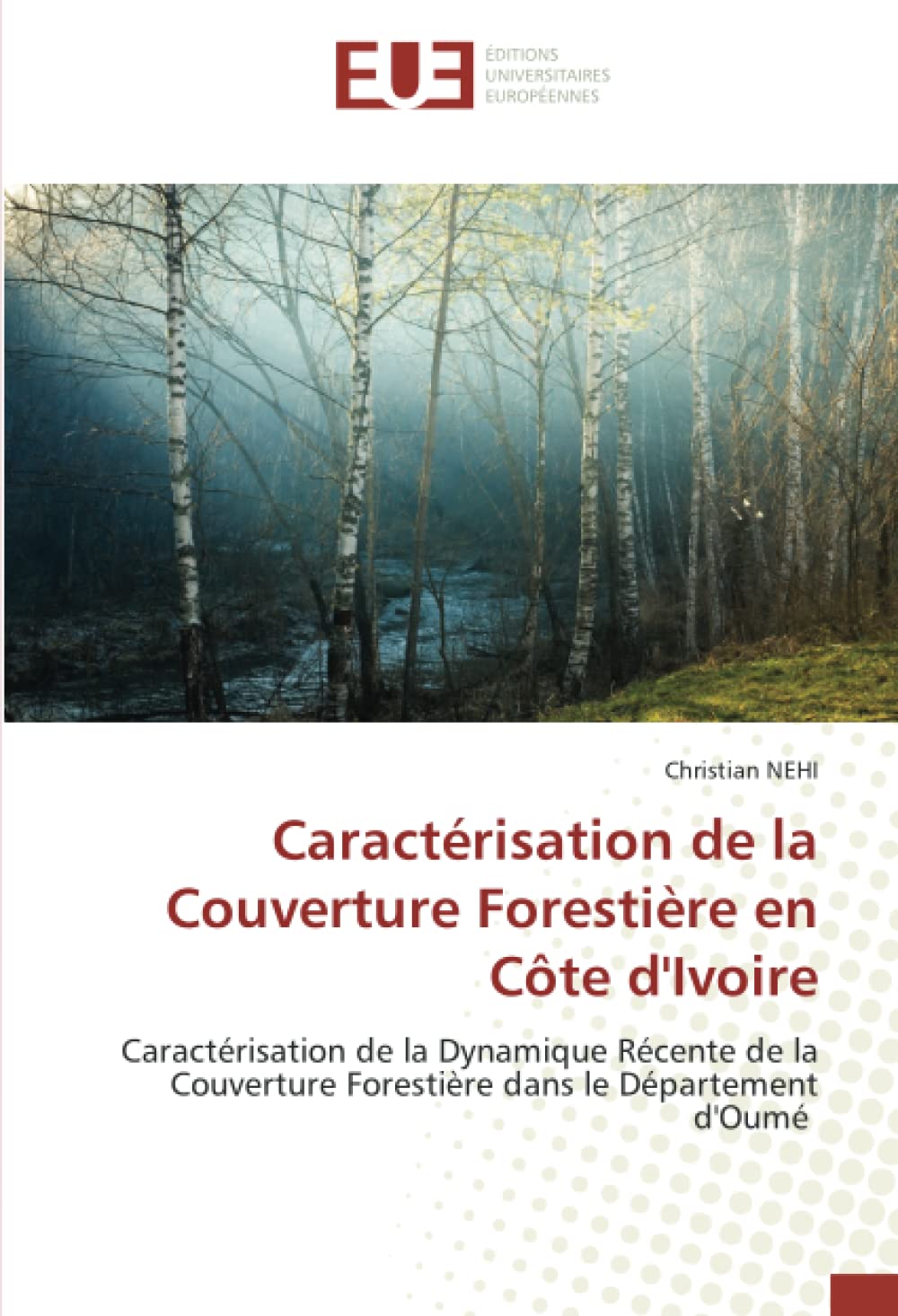 Caractérisation de la Couverture Forestière en Côt: Caractérisation de la Dynamique Récente de la Couv