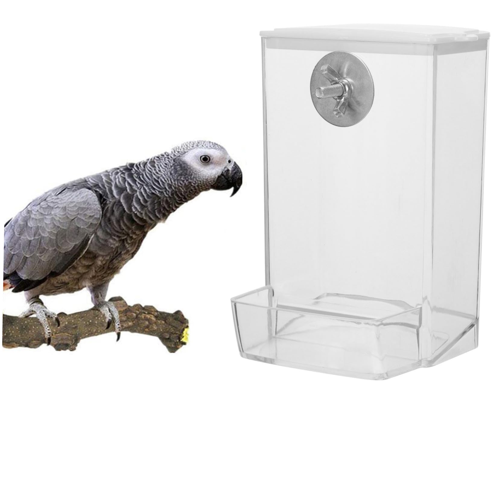 Yardwe 4 Pz Scatola Di Cibo Per Uccelli Gabbia Per Uccelli Alimentatore Automatico Porta Cibo Per Finestra Della Mangiatoia Per Mangiatoia Per Design Fibbia Pp