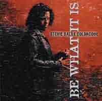 スティーヴィー・サラス Stevie Salas Colorcode / Bootleg Like a Mug!! Live in Japan