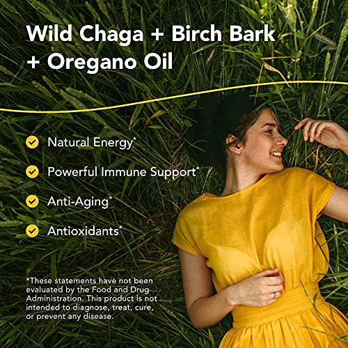 North American Herb & Spice Chagamax - 12 Vegi Capsules - Chaga Wild Mushroom Supplement - Adaptogen, Adrenal Support, Endurance & Stamina - Non-Gmo - 90 Servings #TOP1