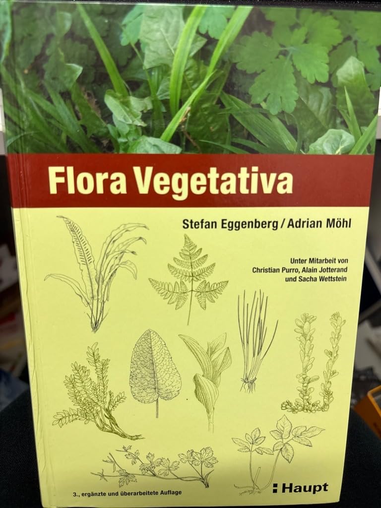Flora Vegetativa: Ein Bestimmungsbuch für Pflanzen der Schweiz im blütenlosen Zustand