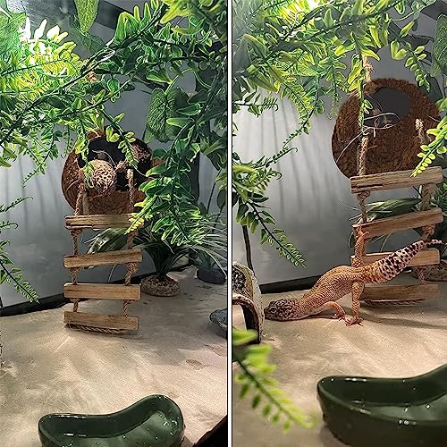 Image of 6PCS Crested Gecko Coconut Hut, Lizard Coco Den with Ladder and Reptile Hammock Bearded Dragon Tank Accessories Climbing Hanging Plants Jungle Vine Flexible Reptile Leaves Decor