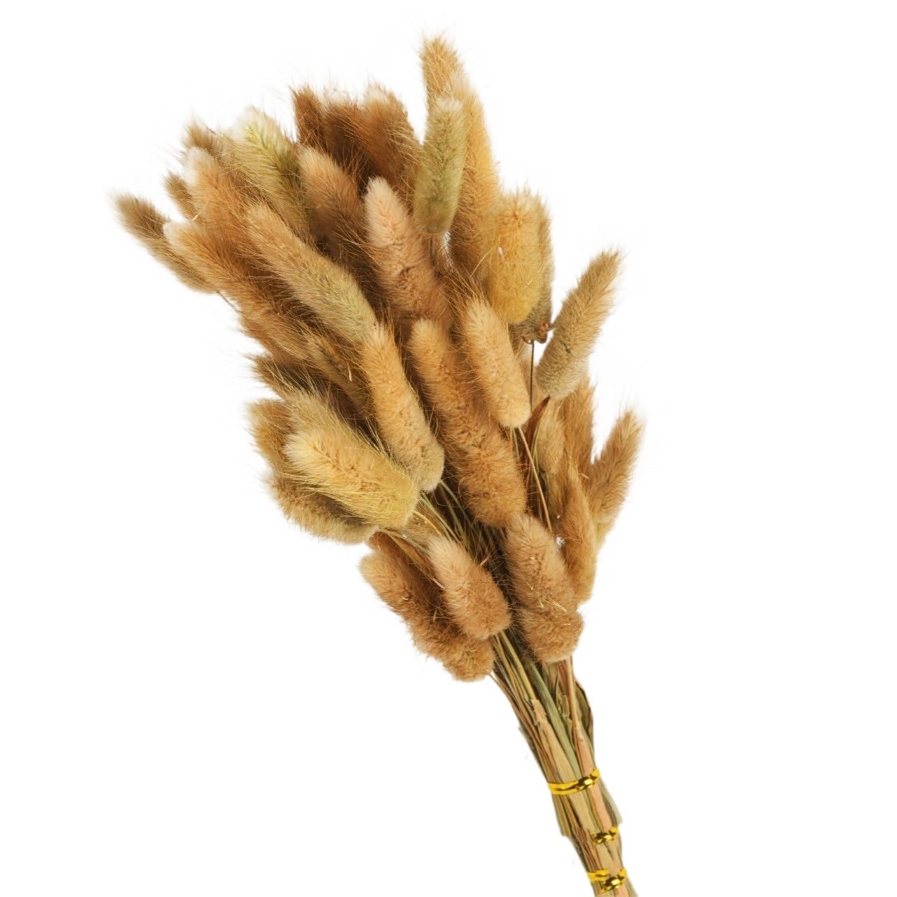 Sztuczna trawa Pampas, Wielokolorowe pampasowe ogony króliczka suszone kwiaty 60 lub 80 szt. Ślub Boże Narodzenie dekoracje dla domu DIY(Meat Pink,60pcs)