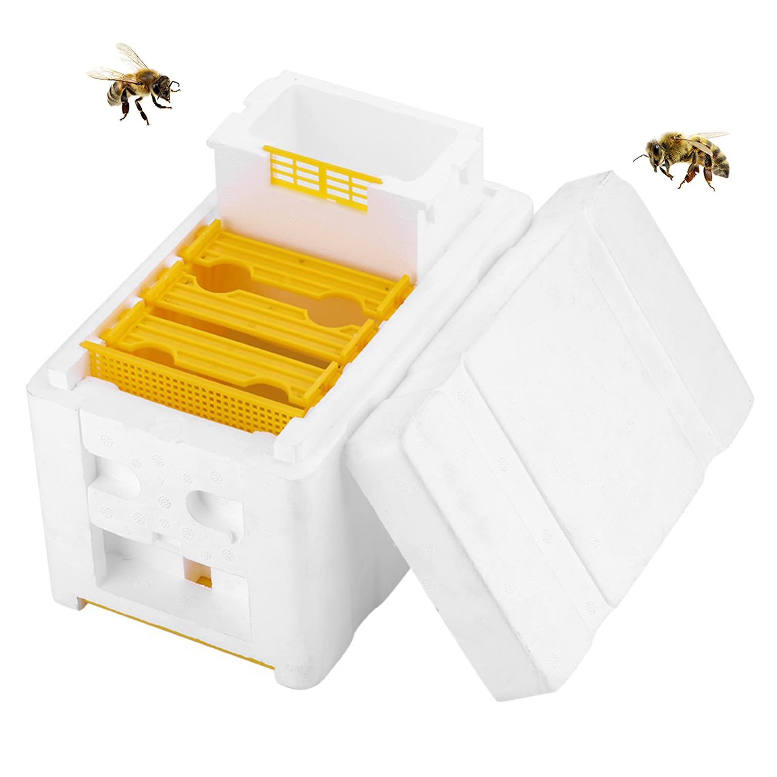 Buy Beekeeping Queen breeding Queen Breeding Queen Bee Rearing