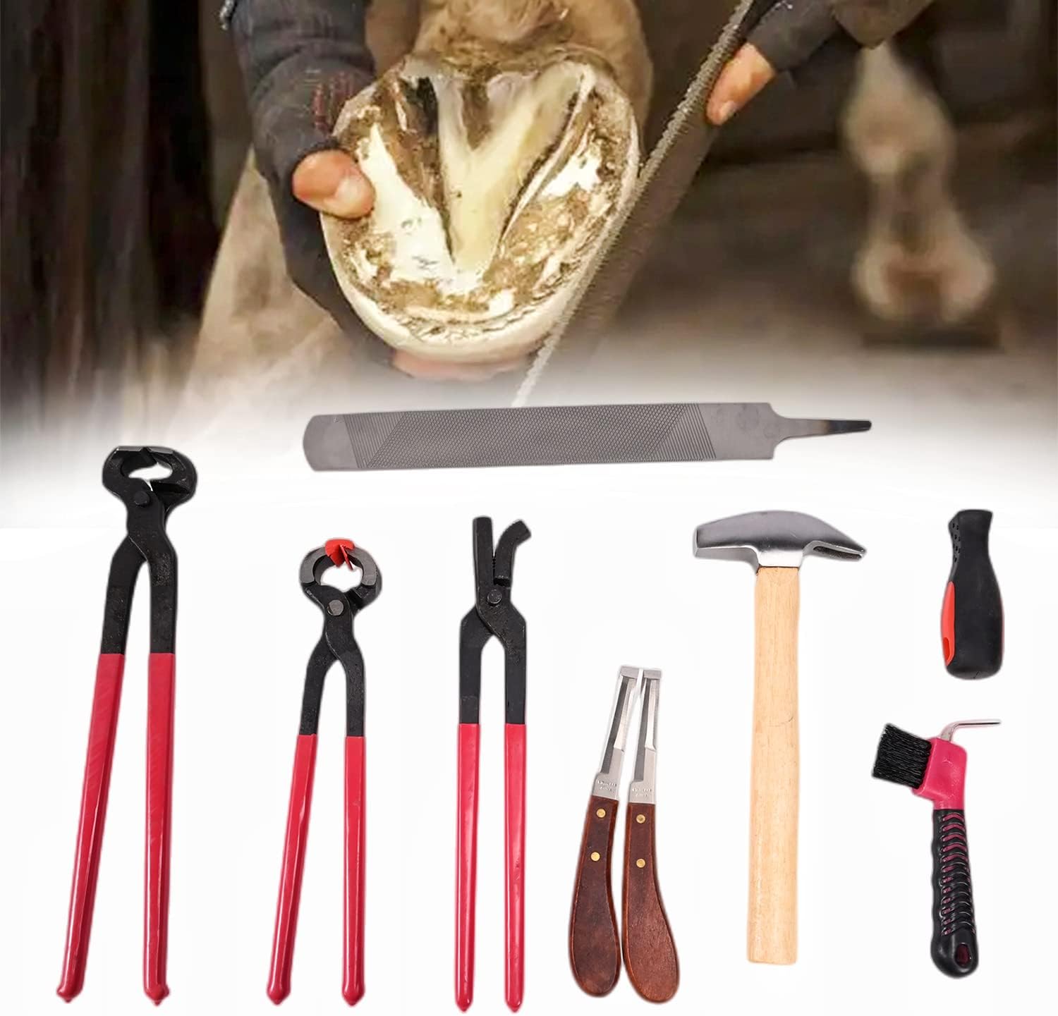 lukar 8pcs Horseshoe Hoof Trimmers Tools Pliers Rasp Hoof