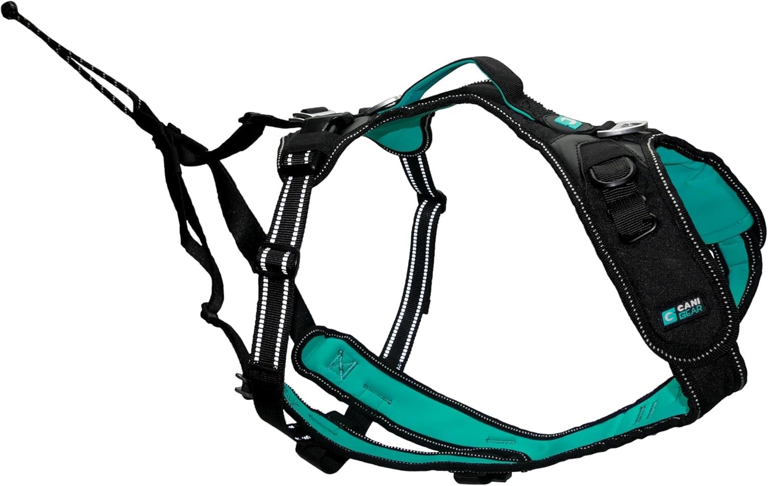 CANI C GEAR, Harnais, Modèle SYMBIOZ, Couleur Noir/​Turquoise, Doublure en néoprène Anti-​Irritation, Utilisation Sportive avec Sangles Amovibles, Garanti à Vie, XL
