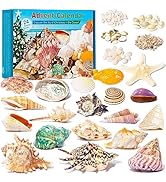 Adventskalender 2023 Kinder für Muscheln mit 24 Tagen Weihnachtlichen Countdown, Meeresmuscheln u...