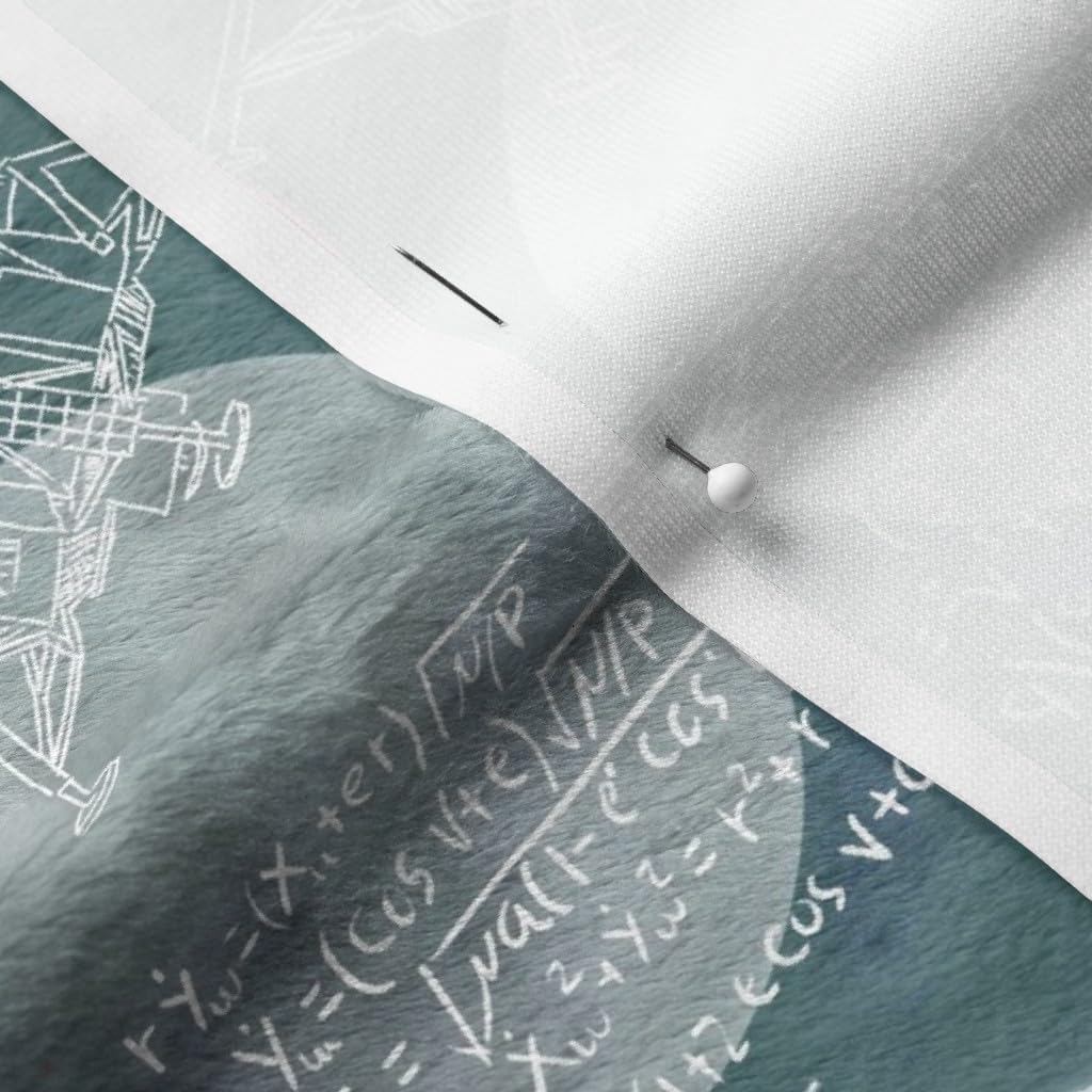 Spoonflower Fabric - Moon Mathematics Science 1960S Stem Women Computer Teacher Scientist Printed on Minky Fabric by The Yard - Sewing Baby Blankets Quilt Backing Plush