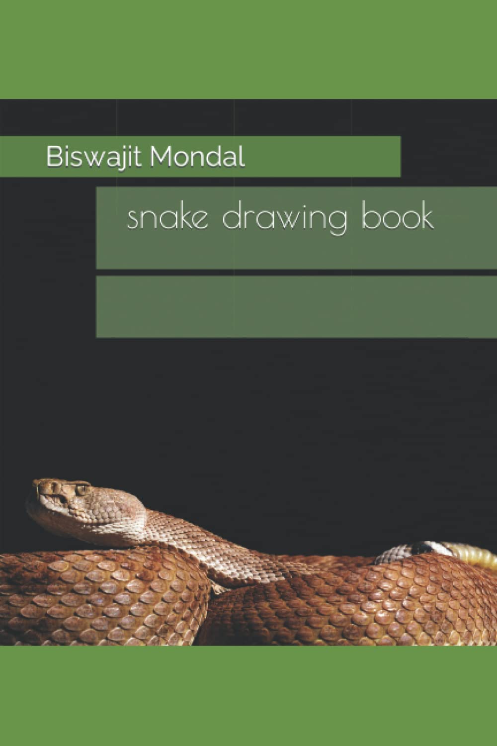 snake drawing book