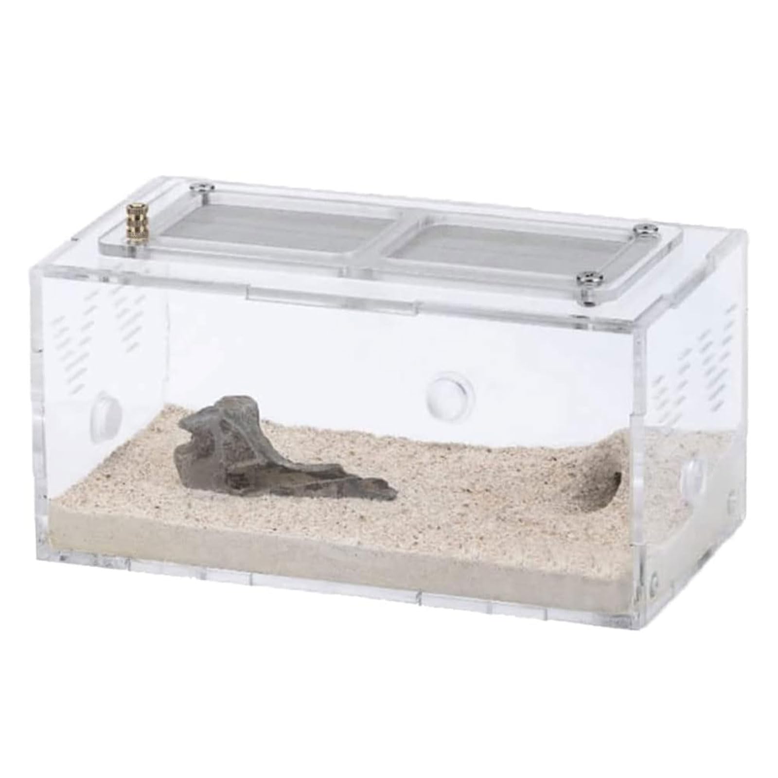 DESONIX Acryl-Ameisenfarm, Ameisen-Terrarium, Ameisenhaus, kann gespleißt Werden, Ameisennest, Nachahmung, Original, ökologischer Beton, Ameisenwerkstatt, Insektenvilla, Ameise