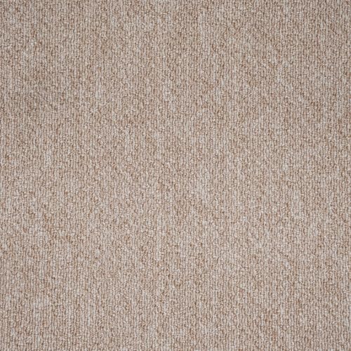 Budget Loop Pile Feltback Carpet Hard Wearing Stain Resistant Sta...