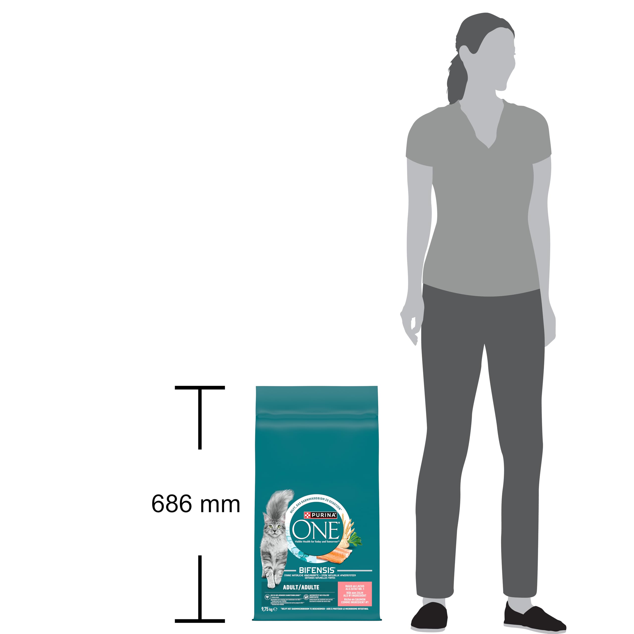 Purina One Bifensis Crocchette Gatto Adult Ricco in Salmone e Cereali Integrali 9.75 Kg