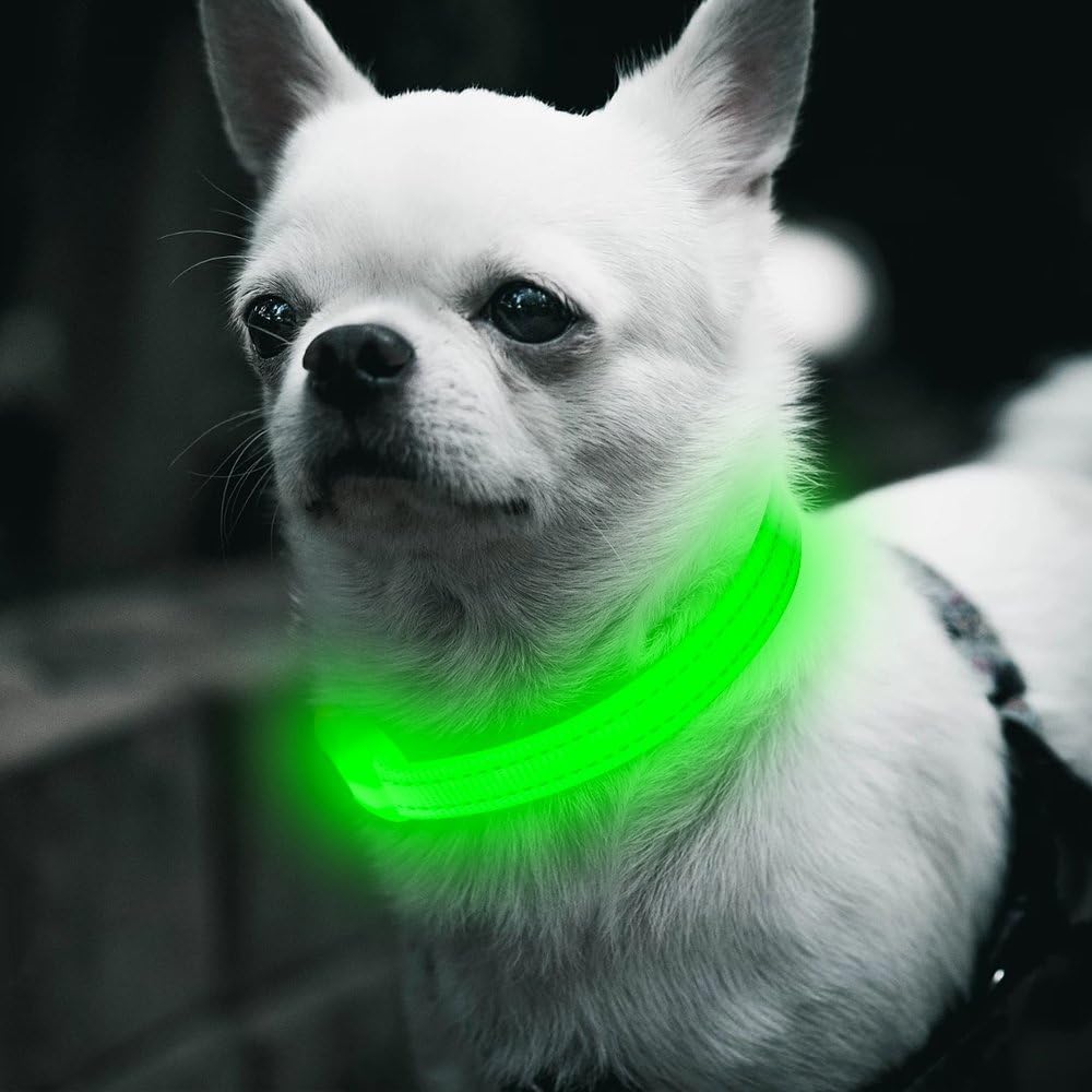 BSEEN Collar de Perro LED, Recargable por USB, Collar para Perros pequeños, Collar de Seguridad Brillante para Gatos con cincha de Nailon Ajustable de Alta Visibilidad para Perros y Gatos