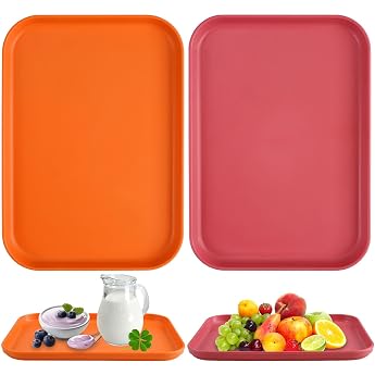 Plastic Tray 24 x 17 x 2 cm Tray Small Tray Pack of 2