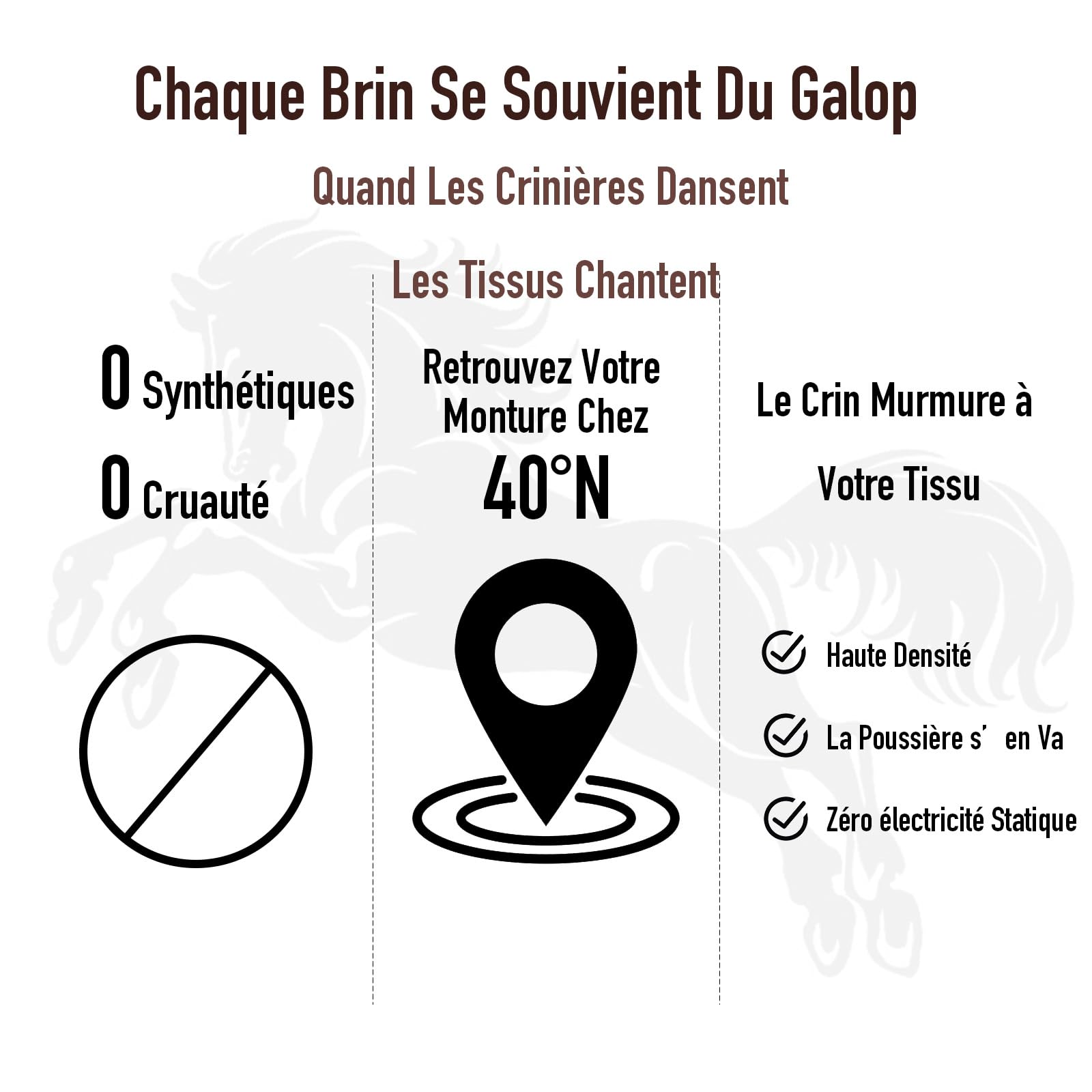 Kit Brosse Chaussure & Cuir 4 Pièces - 100% Crin de Cheval Naturel & Microfibre - Set d'Entretien Premium pour Chaussures, Sacs à Main, Bottes, Canapés et Intérieur Auto - Sans Rayures