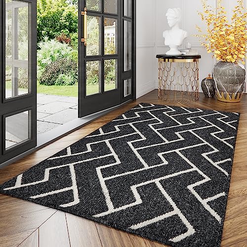 Biscpro Schmutzfangmatte 50x80 Fußmatte, Wasserdicht Schmutzabsorption Matte Fussmatte für Außen Innen Eingang, Garten, Teppich, küchenteppich
