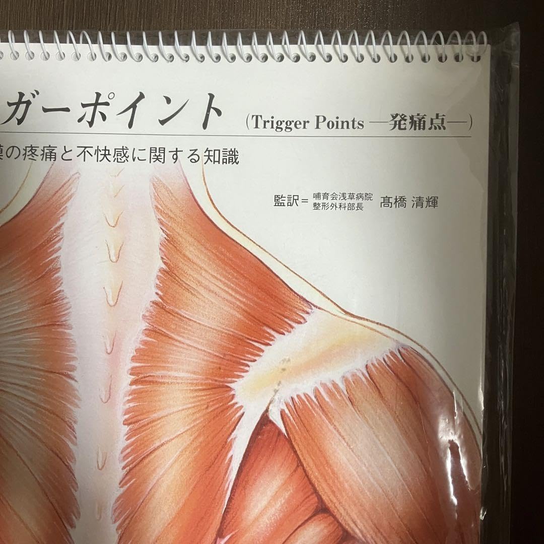 未開封品　スタンド式　絵で見るトリガーポイント 筋膜の疼痛と不快感に関する知識 Amazon.co.jp: 品 スタンド式 絵で見るトリガーポイント 筋膜の