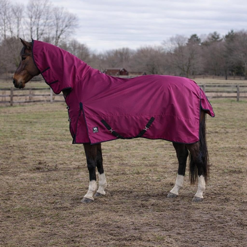 Horsemasters Lightweight 600D Full Neck Turnout Rug 0g – Waterproof & Breathable Horse Rug with No Fill – Combo Outdoor Rug with Cross Surcingles & Tail Flap