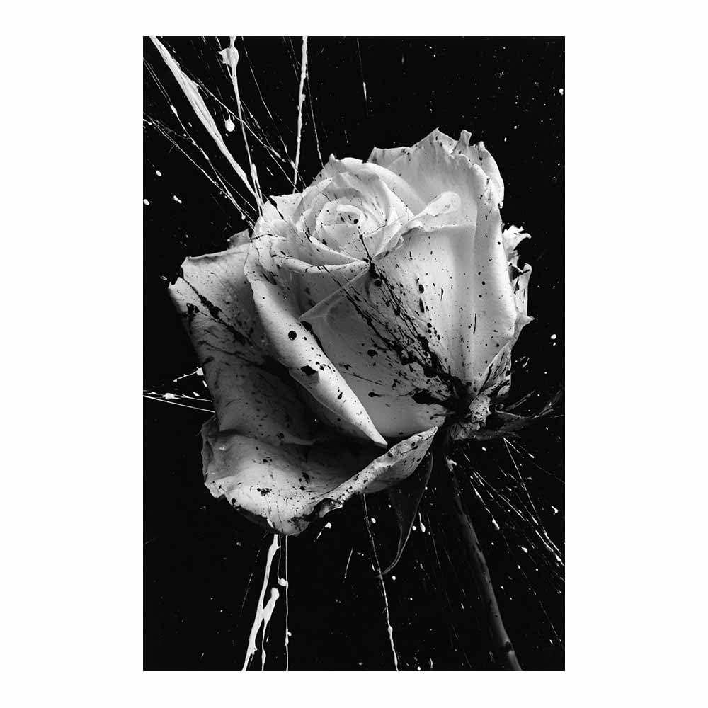 HOQIU Black And White Pictures Splatter Whites Ros canvas wall art, decorative paintings, for Bedroom Living Room Bathroom Office Home Decoration(Multicolor)-80x120cm Unframed