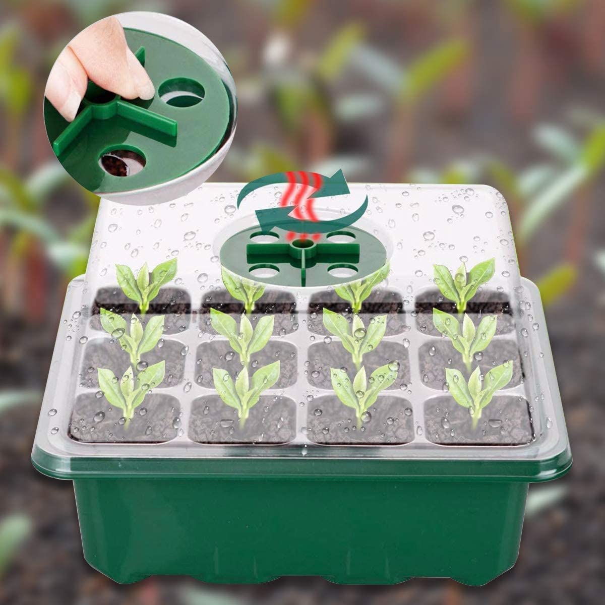 Vassoio Germinazione, 12 Pezzi Scatola di Germinazione, 12Fori Set di Propagazione dei Semi, Vassoi per Piante con Cupole Ventilate, per Germinazione, Strumento di Coltivazione in Mini Serra
