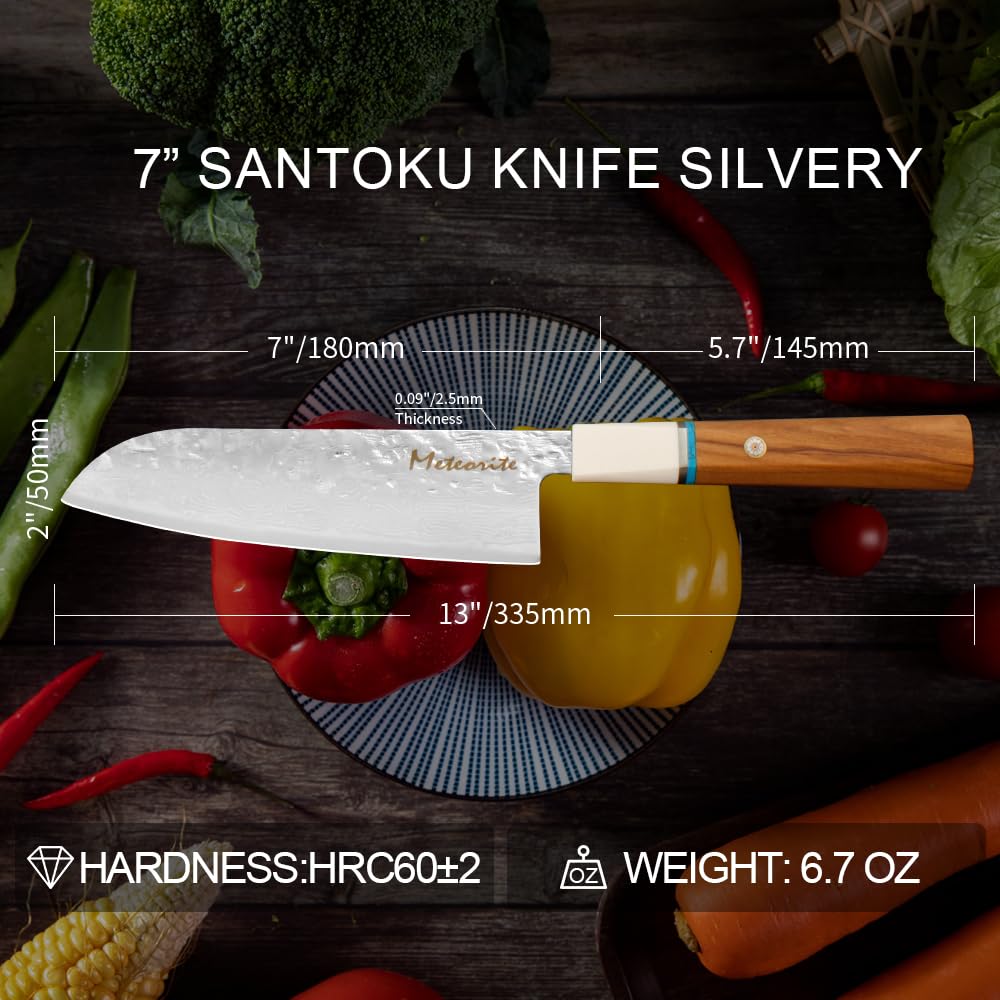 Santoku Knife 7in, Damascus Japanese Chef Knife, Professional Hand Forged Chef's Knives for Kitchen Cooking Meat Cleaver, Cutting Vegetables and Fruit, Razor-Sharp Chef's Knife with Gift Box, Silver