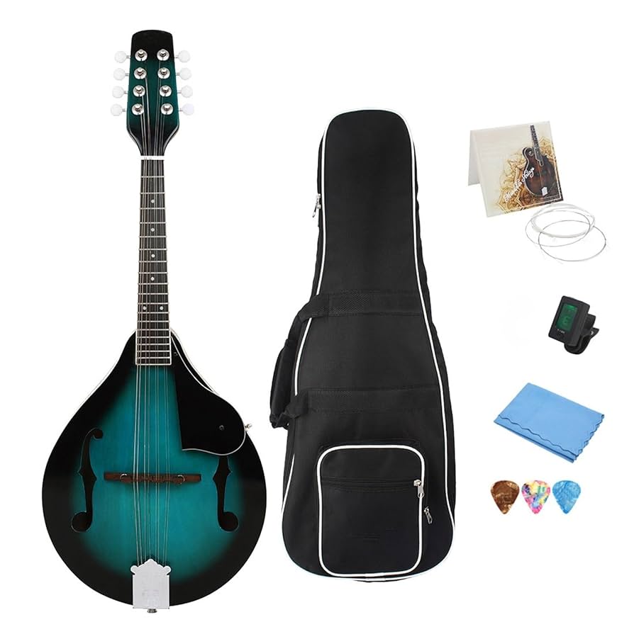 マンドリン　ロシア　楽器 落合マンドリンM-8 | イケガク