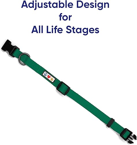 Miniatura 6 de Pawtitas Paquete económico  Arnés para perro mediano + collar mediano + correa para perro medianagrande de 6 pies, juego verde exuberante