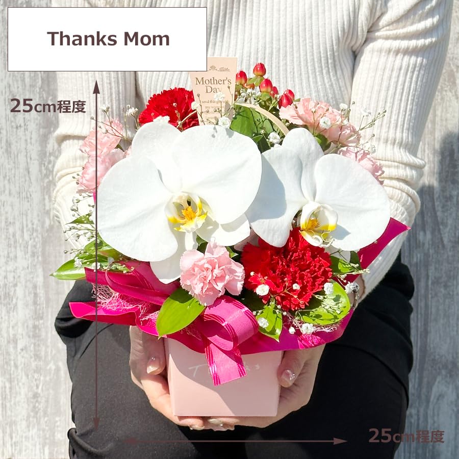胡蝶蘭　生花　母の日 Amazon｜胡蝶蘭専門店らんや 生花 胡蝶蘭季節のアレンジ 【母の