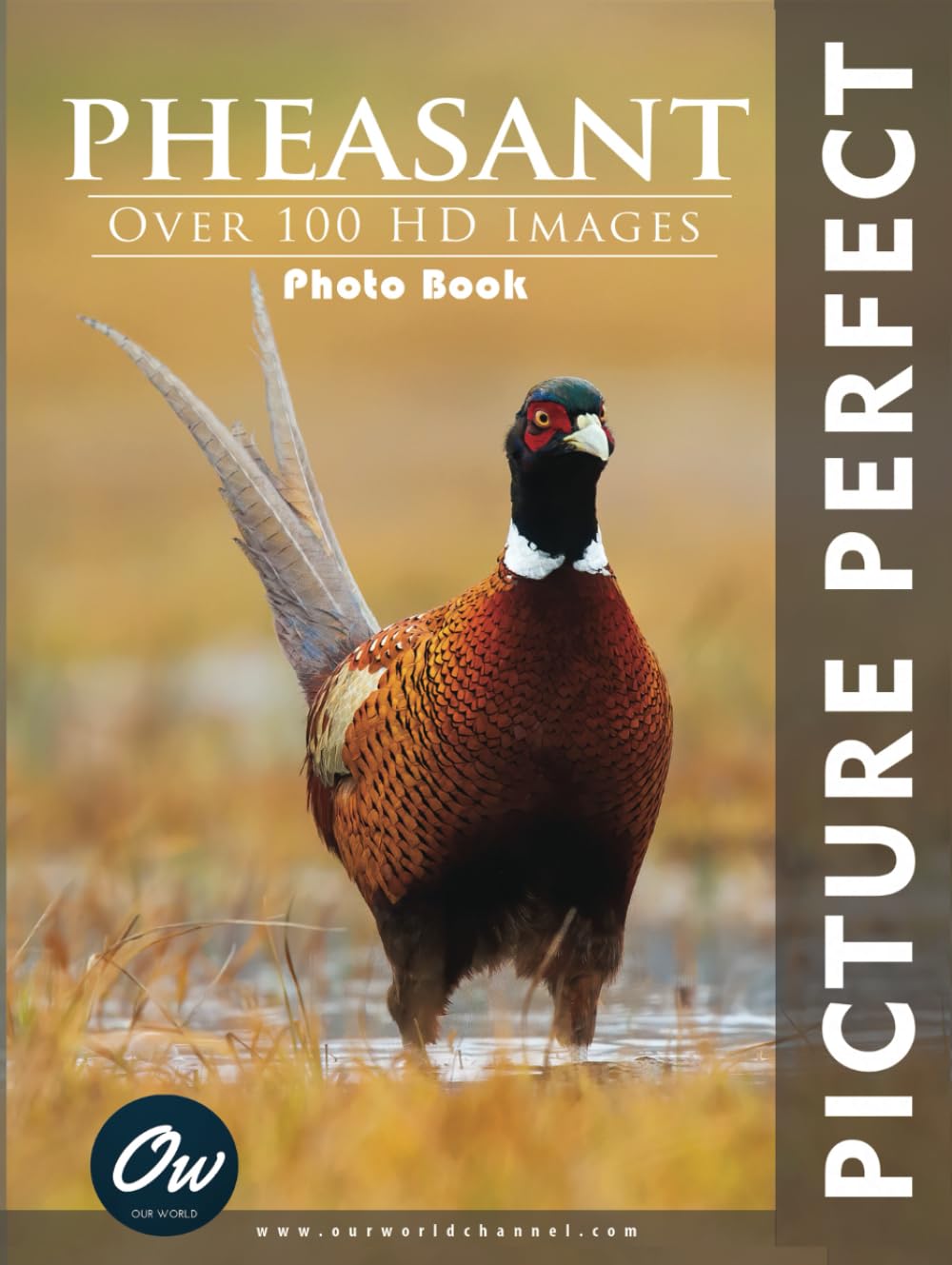 Pheasant: Picture Perfect Photo Book