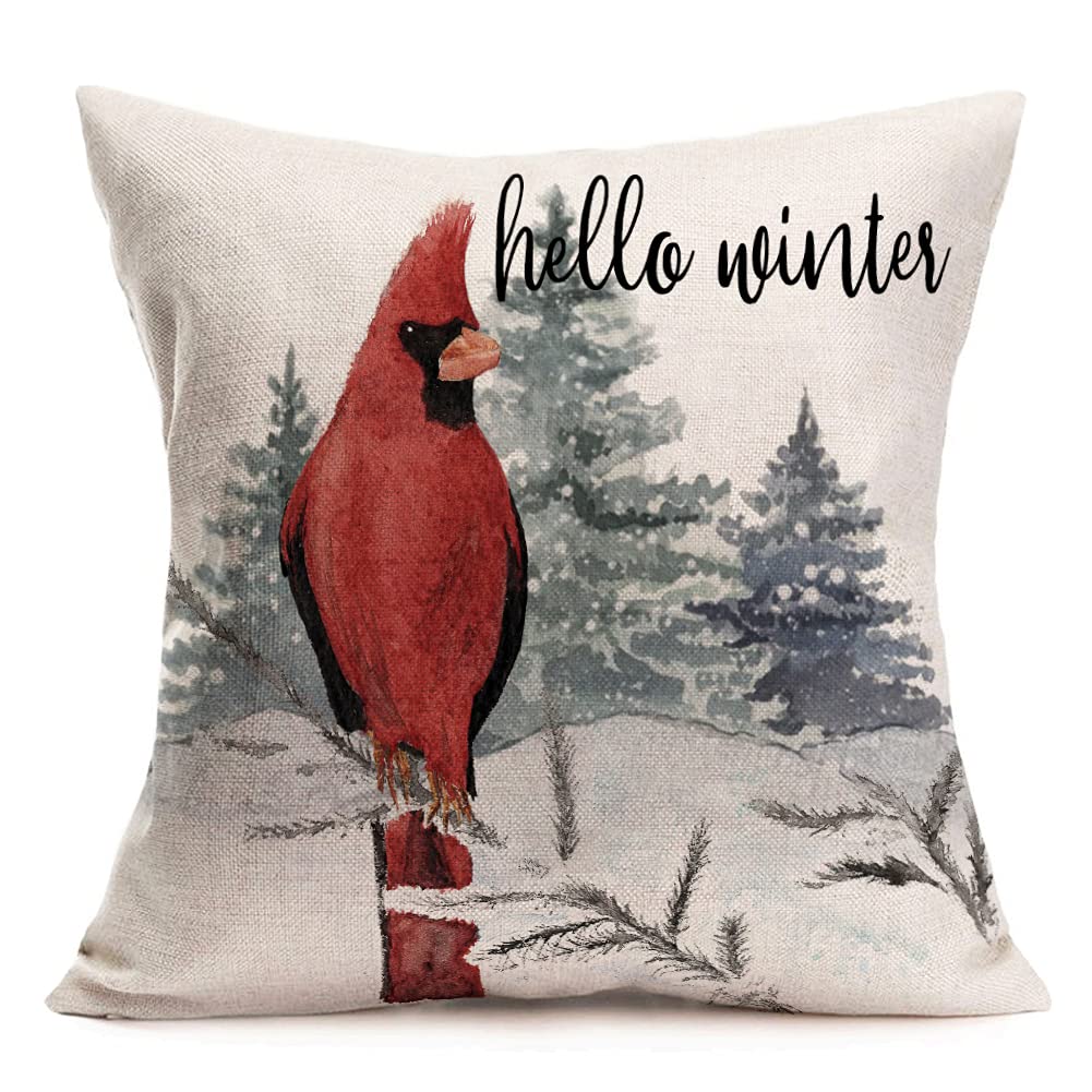 Smilyard Cardinal Pillow Covers Christmas Red Bird Farmhouse Pillow Covers 16x16 Inch Hello Winter Animal Pillow Cases Square Pillowcase Cotton Linen Xmas Cushion Cover for Sofa (Bird-1, 16X16 Inch)
