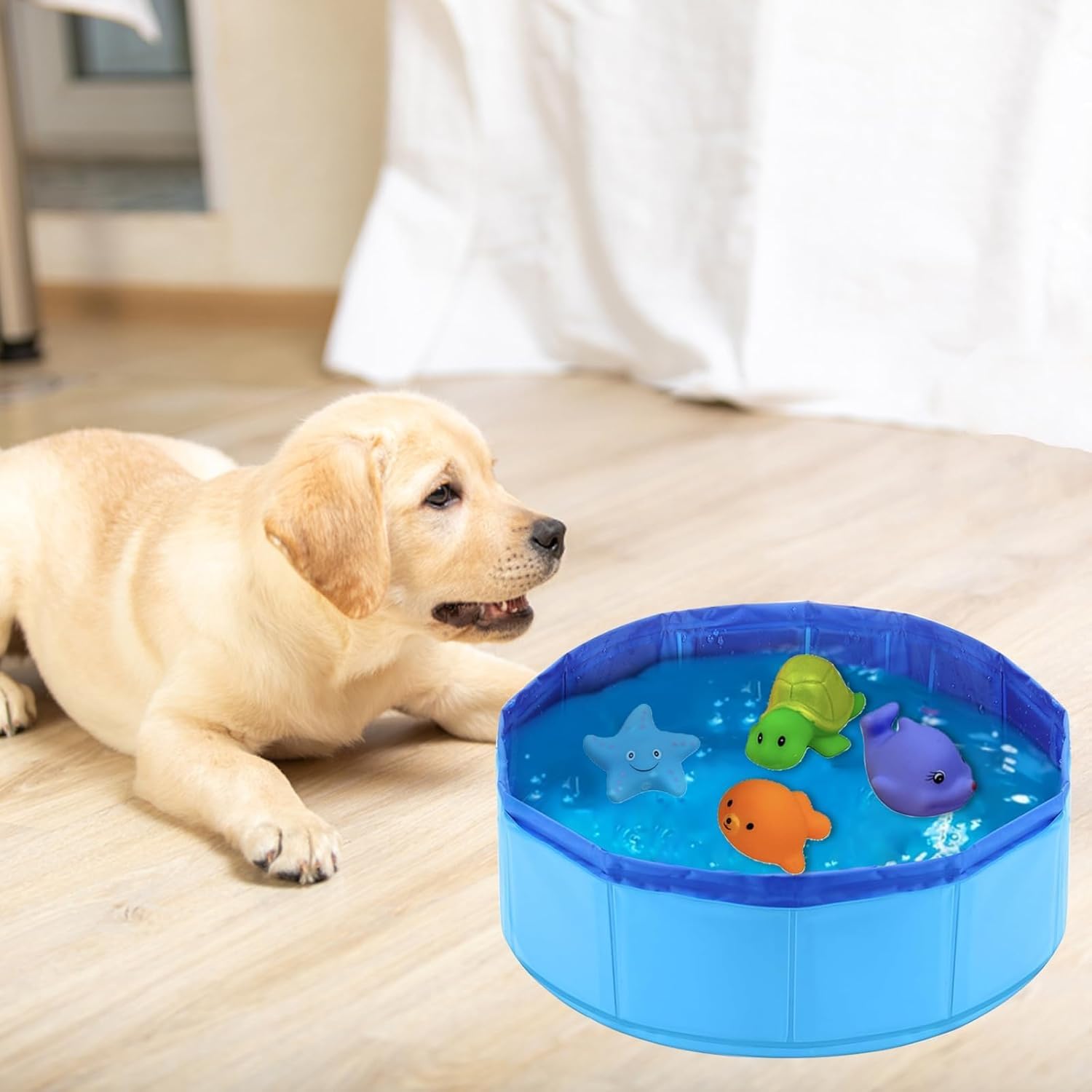 Piscina Plegable para Perros, Piscina para Mascotas Perros, bañeras para Perro portátil, 30 x 10 cm – Ideal para baño y Juego