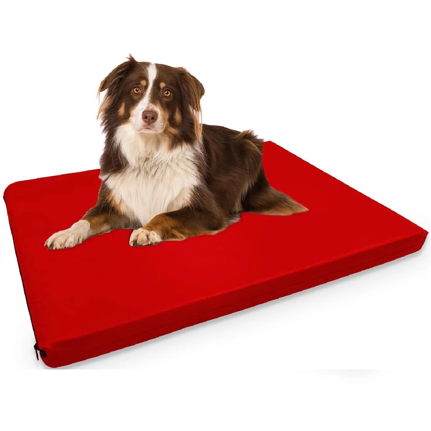 FOAMSUPA Heavy Duty Pet Dog Bed Mattress Mat Cushion with Tough Waterproof cover (Red, X Large 105cm x 70cm x 5cm – 42″ x 28″ x 2″)