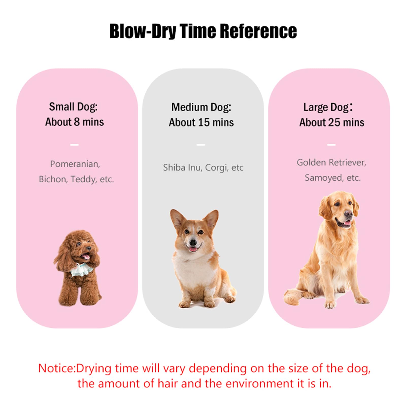 Soffiatore per Cani Asciugacapelli per Cani 2800W Phon per Cani Silenzioso Asciugatore per Cani Asciuga Cane Velocità e Temperatura Regolabili Asciugatrice per Cani Professionale con 4 Ugelli