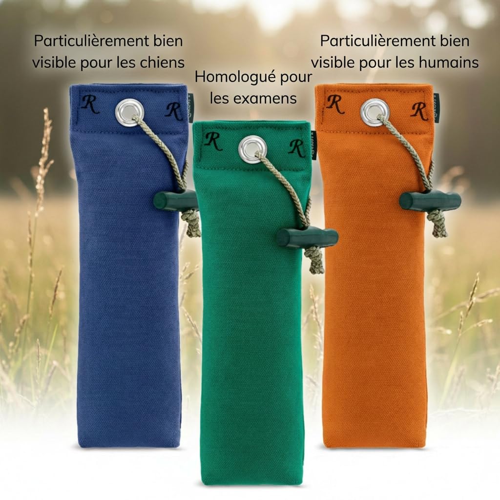 Romneys Lot de 500 g standard pour chien - Extrêmement robuste et flottant (orange)