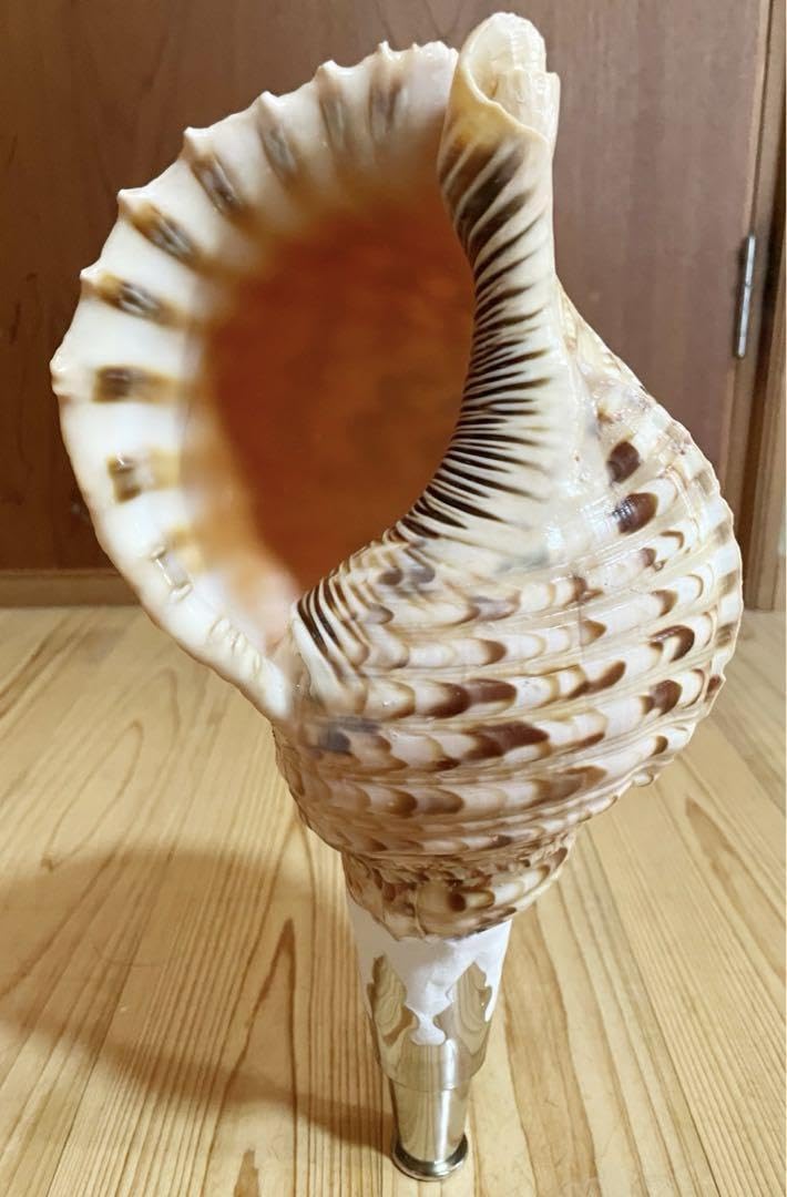 修験道　法螺貝　山伏　密教　魔除け　熊よけ❣️ほら貝　ホラガイ Amazon.co.jp: 修験道法螺貝 山伏 密教 魔除け 熊よけほら貝 ホラガイ
