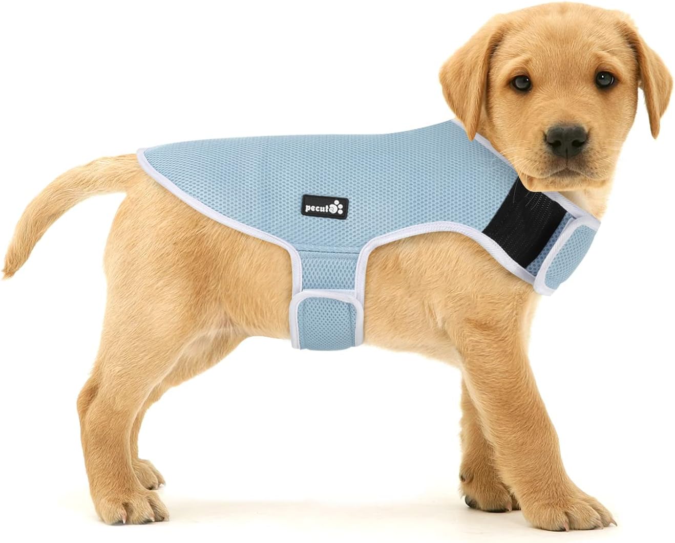 pecute Dog Cooling Vest Small, Summer Cooling Coat for Puppy Sun