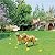 High Tech Pet Humane Contain X-10 Rechargeable Multi-function Electronic Dog Fence