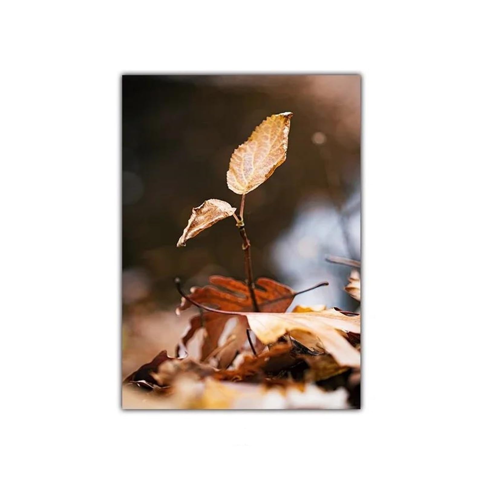 Byambd A Esthetic Pictures Nature Utumn Wind Deciduous Gorest Mist Lake Waterfall Scenery Posters Print Wall Rt Canvas Painting For Living Room Decor(,30X40cm)