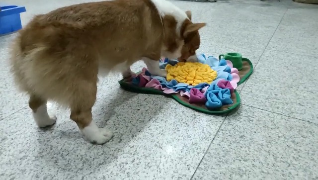 Pet Snuffle Mat for Dogs Interactive Feed Game Sunflower Suction Cups Dog Treats Feeding Mat with Puzzles Encourages… - Image 8