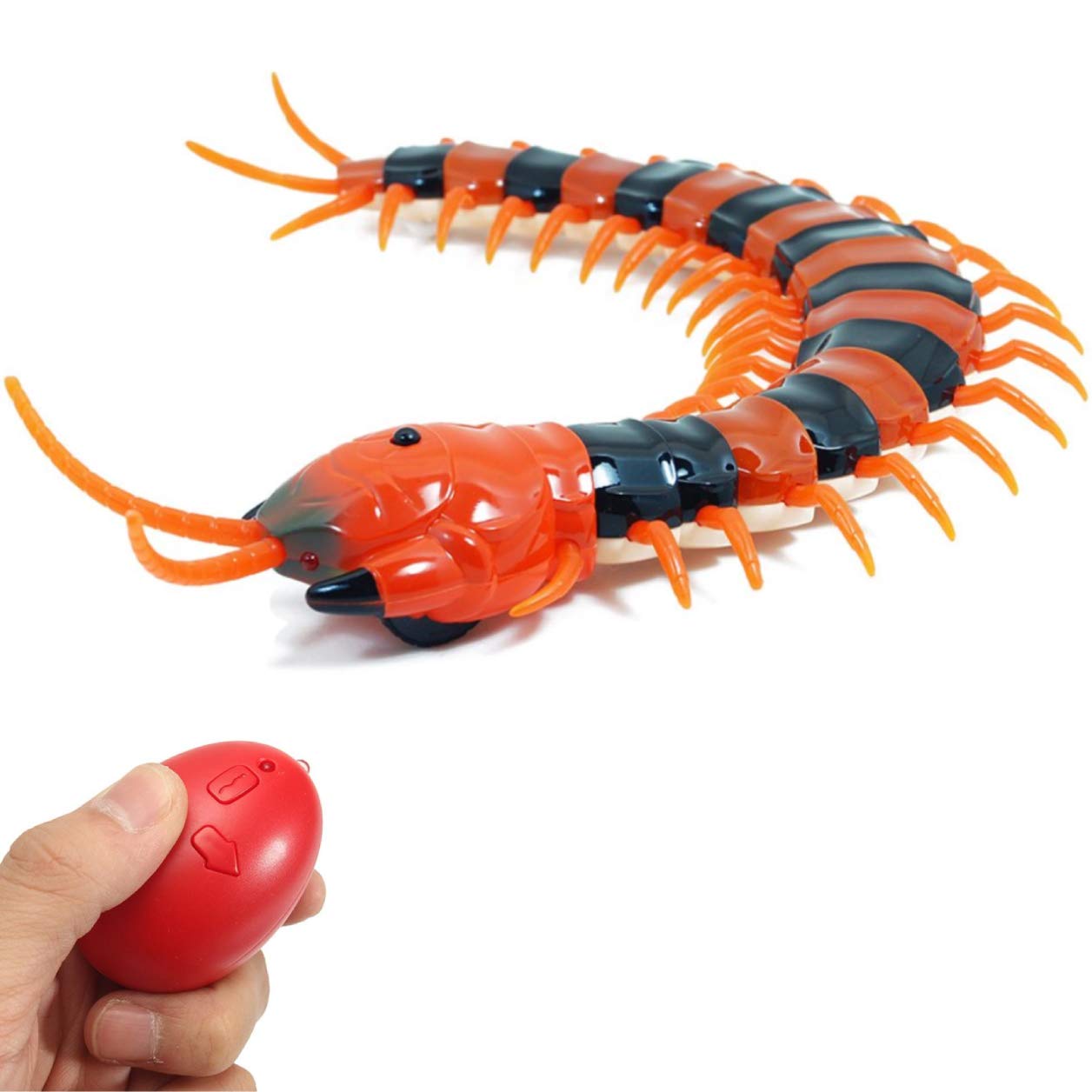 centipede cat toy