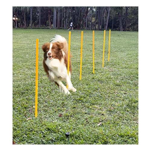 Dog Agility Equipment, Agility Poles, Dog Jumps, Outdoor Obstacle Course with 6 Weave Poles and...