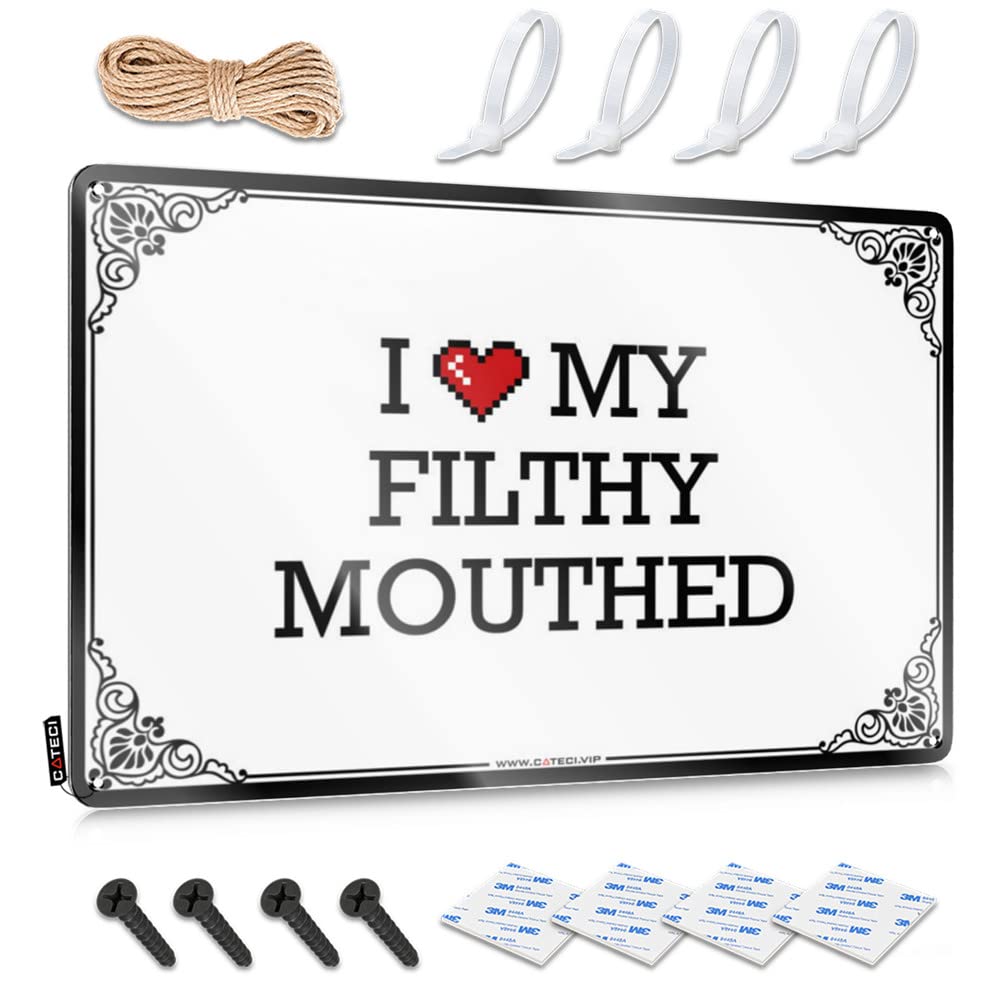 Tin Sign Farmhouse Vintage Style | I Love My Filthy Mouthed Small Haves Home Decor(30X40CM)