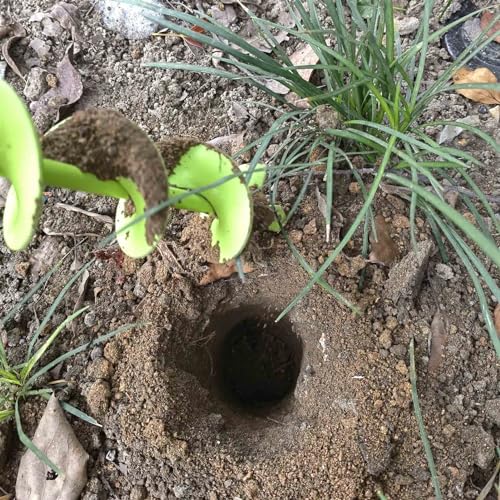 image for TCBWFY 2x32 Inch Auger Drill Bit for Planting - Long Handle Easy Plant