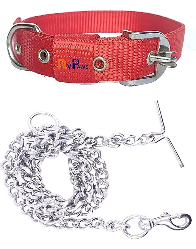 RvPaws Dog Belt Combo of 1 Inch Nylon Collar with Heavy Dog Chain 63 Inch Lengthy Dog Collar Chain (Large Size) - Red (B0BT1ZNK4H) Amazon Price History, Amazon Price Tracker