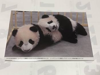 上野動物園　シャオシャオレイレイ　新品未開封 アニマルアドベンチャー シャオシャオ・レイレイ 上野動物園